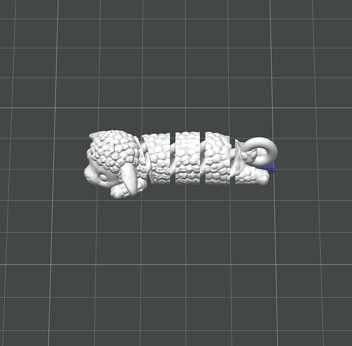 Sheep