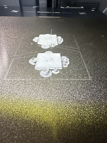 random-spaghetti-halfway-through-print-v0-gmhievubcfih1