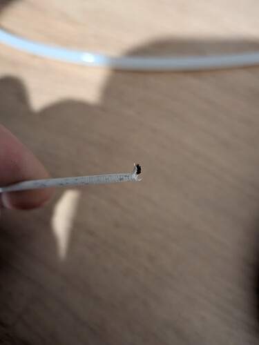 PXL_20260307_222735907.MACRO_FOCUS