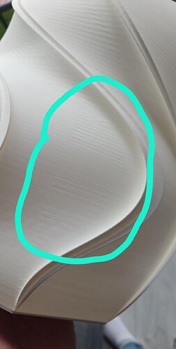 orca-image--1438650427.jpeg