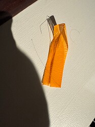 IMG_1437