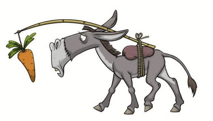 donkey-and-carrot-1469371202