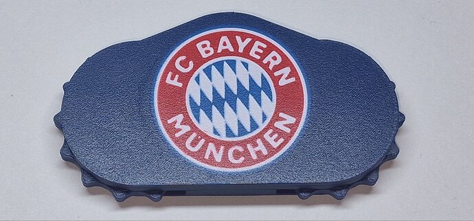 3BSC-BayM-Back