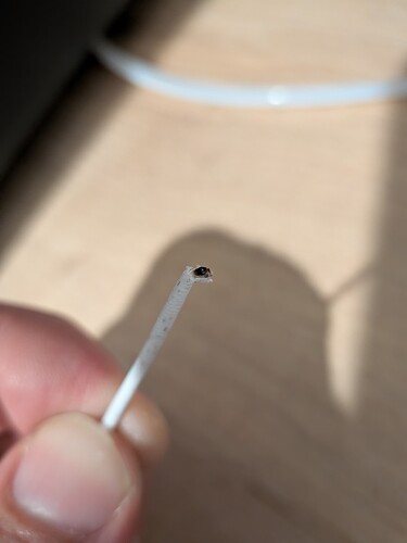 PXL_20260307_222751200.MACRO_FOCUS
