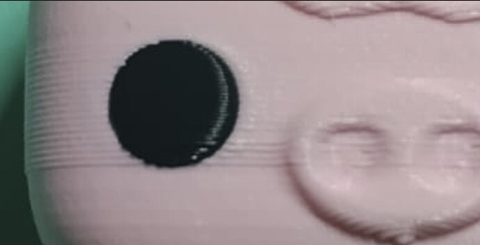 closeup