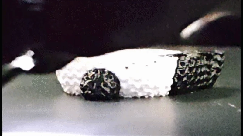 slowmo-ezgif.com-video-to-gif-converter